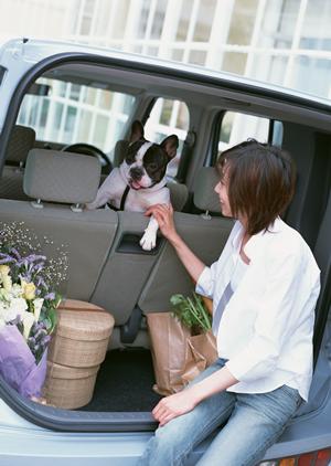 家族の安全を守る！車屋車検で安心・安価なサービスを選ぶための完全ガイド