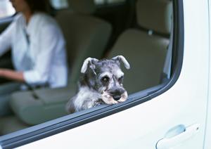 【2024年版】コスパ抜群！信頼できる車検店舗の選び方とポイント